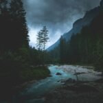 WordPress网站怎么添加夜间模式？
